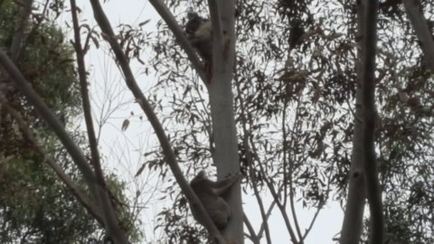 Wilsons Promontory Motel - Accommodation Batemans Bay 28