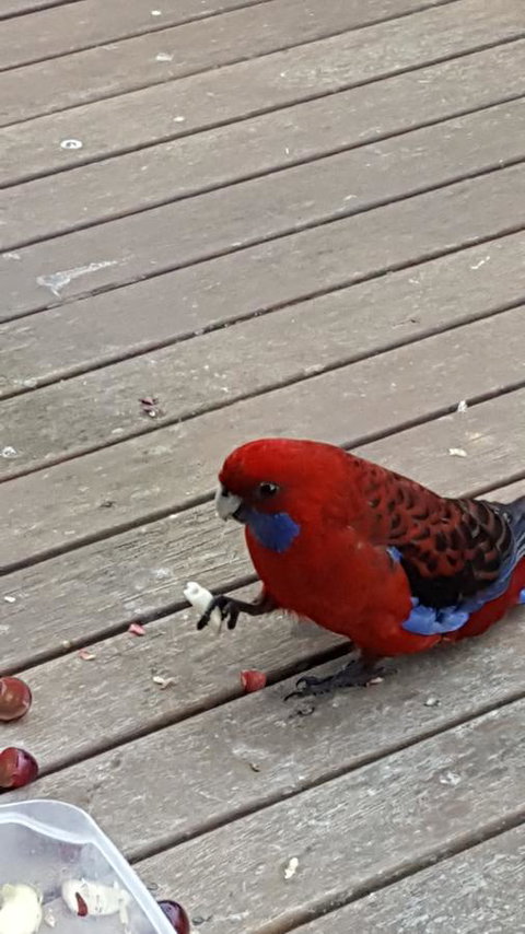 Wilsons Promontory Motel - Accommodation Batemans Bay 24