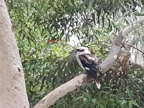 Wilsons Promontory Motel - Accommodation Batemans Bay 26