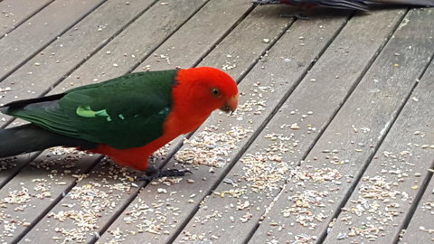 Wilsons Promontory Motel - Accommodation Batemans Bay 27