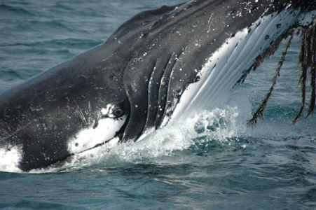 Wilsons Promontory Motel - Accommodation Batemans Bay 42