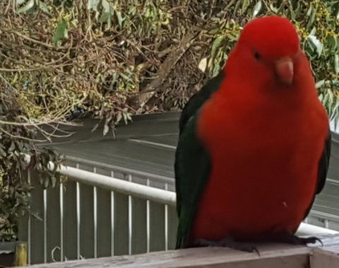 Wilsons Promontory Motel - Accommodation Batemans Bay 23