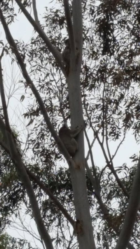 Wilsons Promontory Motel - Accommodation Batemans Bay 29