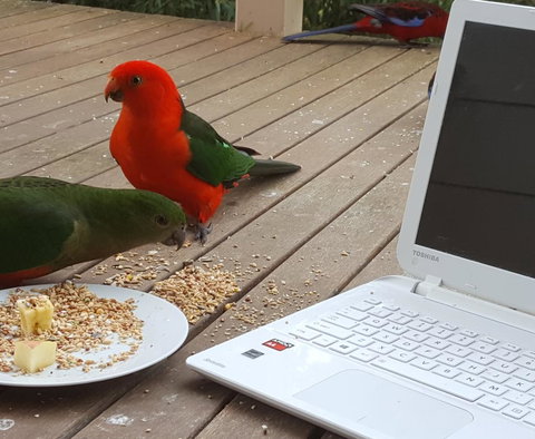 Wilsons Promontory Motel - Accommodation Batemans Bay 0