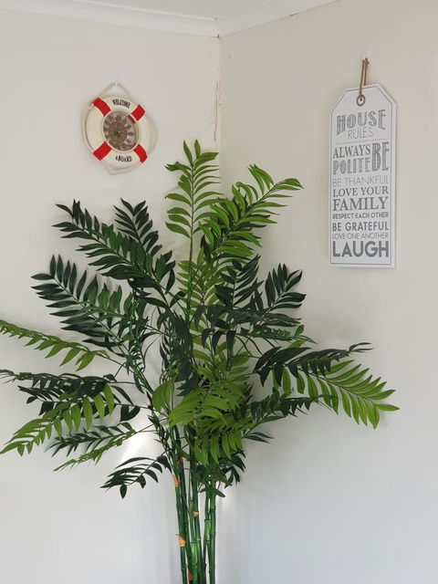 Dromana Holiday Beach House - Accommodation Batemans Bay 4