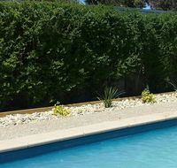 Robinvale Bridge Motel - Accommodation Batemans Bay