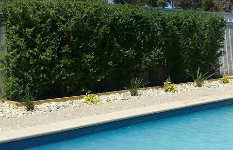 Robinvale Bridge Motel - Accommodation Batemans Bay 0