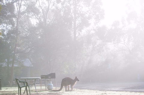 Gariwerd Motel - Accommodation Batemans Bay 18