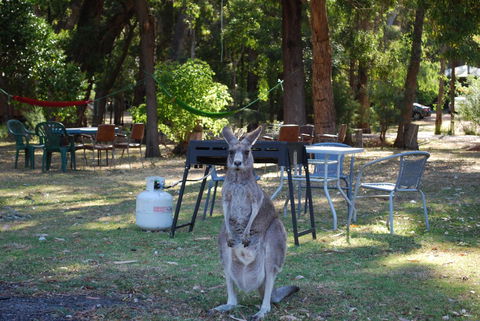 Gariwerd Motel - Accommodation Batemans Bay 26