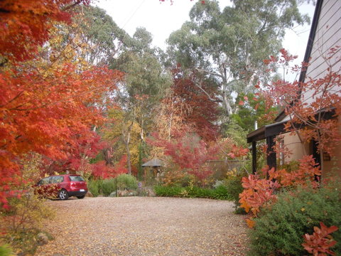 Merrimeet Cottages - Accommodation Batemans Bay 5