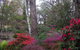 Merrimeet Cottages - thumb 21