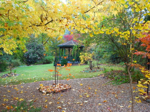 Merrimeet Cottages - Accommodation Batemans Bay 7