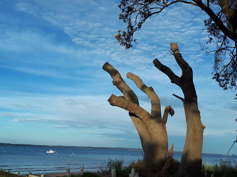 Apartments In Phillip Island Towers - Block C - Accommodation Batemans Bay 10