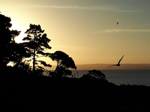 Apartments In Phillip Island Towers - Block C - Accommodation Batemans Bay 19