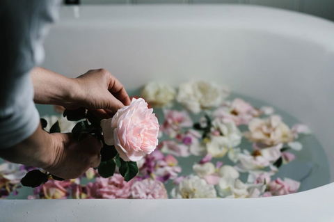 Acre Of Roses - Accommodation Batemans Bay 7