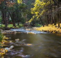 Goldfield Holiday Units - Accommodation Batemans Bay