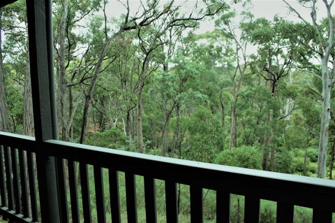 Tangenong Cottages - Accommodation Batemans Bay 12