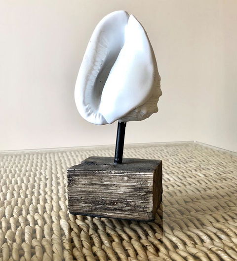 Sea Shells On Banyan Apartment - Accommodation Batemans Bay 9