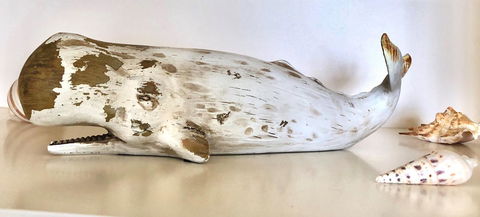 Sea Shells On Banyan Apartment - Accommodation Batemans Bay 4