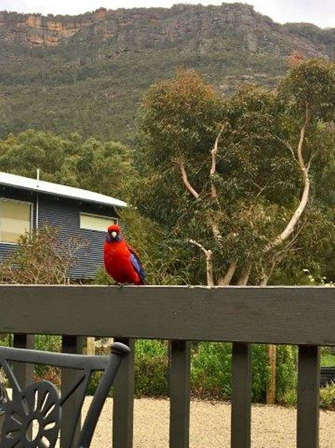 Kangurra Holiday House - Accommodation Batemans Bay 15