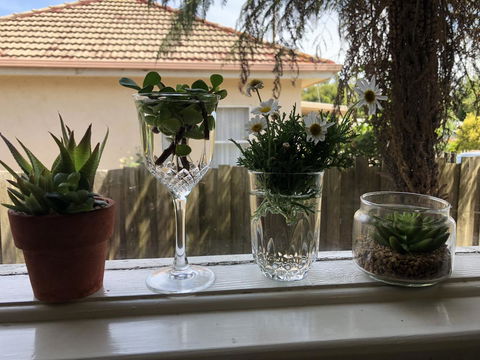 Growse House Yarram 3BR - Accommodation Batemans Bay 10