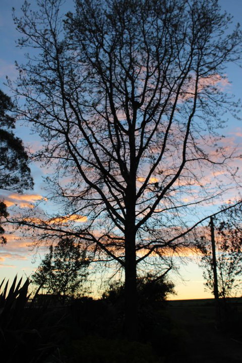 East Street Daylesford - Accommodation Batemans Bay 29