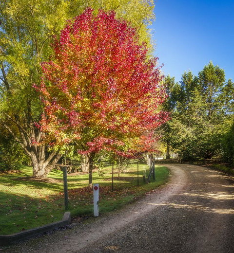 Bright Mystic Valley - Accommodation Batemans Bay 23