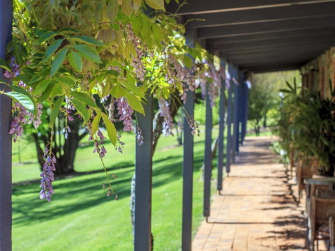 Bright Mystic Valley - Accommodation Batemans Bay 22