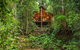 The Canopy Rainforest Treehouses & Wildlife Sanctuary - thumb 2