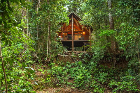 The Canopy Rainforest Treehouses & Wildlife Sanctuary - Accommodation Batemans Bay 2