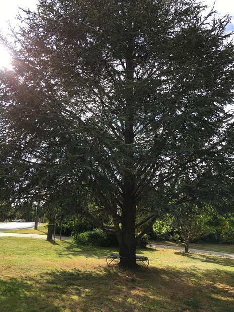 The Glasshouse Boutique Accommodation - Accommodation Batemans Bay 3