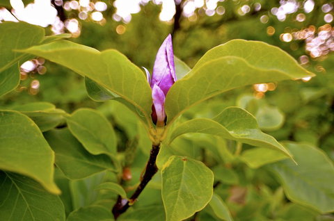 The Glasshouse Boutique Accommodation - Accommodation Batemans Bay 2