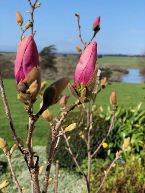 The Granary - Accommodation Batemans Bay 3