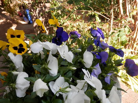 The Hideaway Luxury B&B Retreat - Accommodation Batemans Bay 1