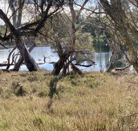 The Lake House - Accommodation Batemans Bay