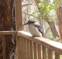 The Ledge Holiday House - Accommodation Batemans Bay