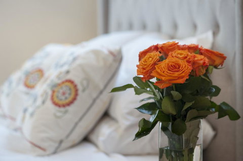 The Nest At Gundaroo - Accommodation Batemans Bay 1