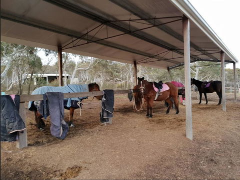 The Saddle Camp Tiny House, Braidwood - Accommodation Batemans Bay 1