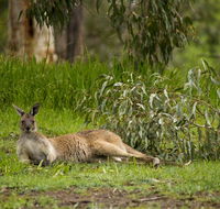 The Stirling Golf Club - Accommodation Batemans Bay