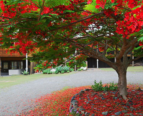 TRANQUILO BEACH HOUSE - Accommodation Batemans Bay 2