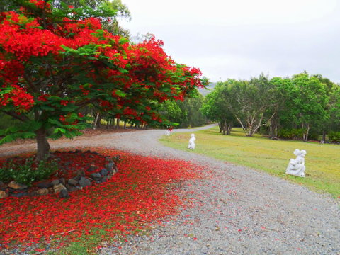 TRANQUILO BEACH HOUSE - Accommodation Batemans Bay 1