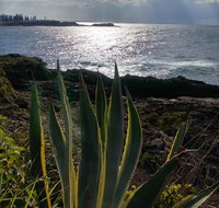Ven  Marks Place - Accommodation Batemans Bay