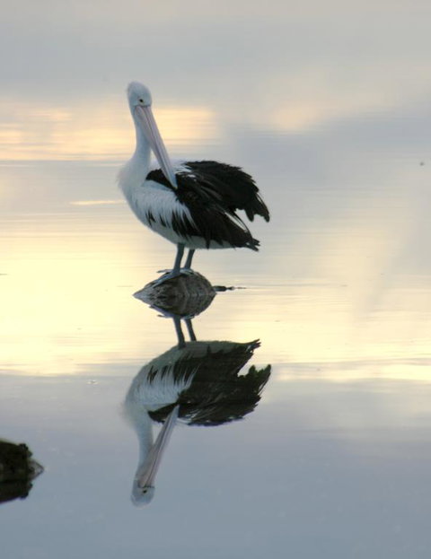 Wanderers Rest Of Kangaroo Island - Accommodation Batemans Bay 3