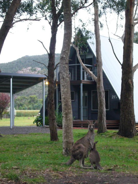 The A-Frame - Accommodation Batemans Bay 1