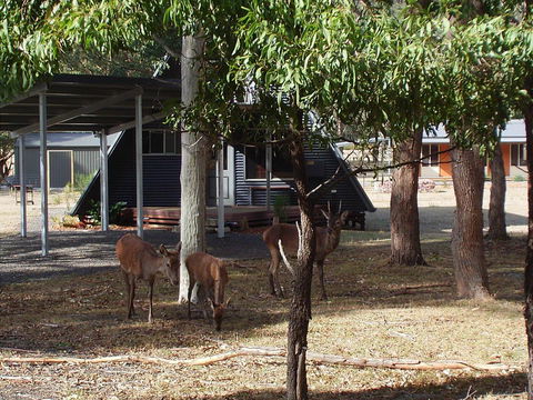 The A-Frame - Accommodation Batemans Bay 13