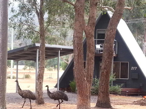 The A-Frame - Accommodation Batemans Bay 9