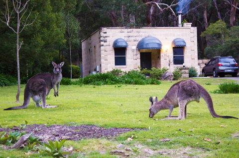 Marwood Villas - Accommodation Batemans Bay 0