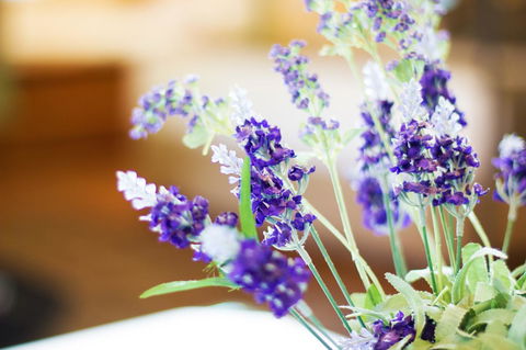 Marwood Villas - Accommodation Batemans Bay 7