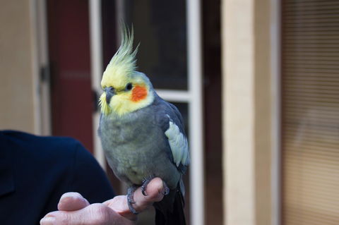 Marwood Villas - Accommodation Batemans Bay 33