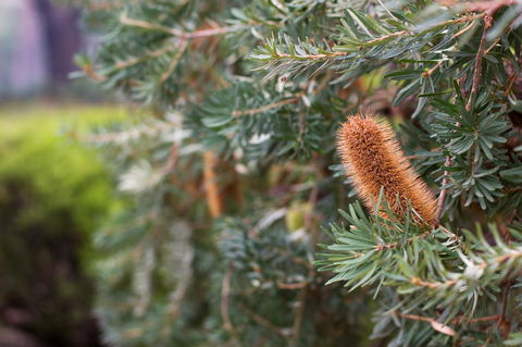 Marwood Villas - Accommodation Batemans Bay 34